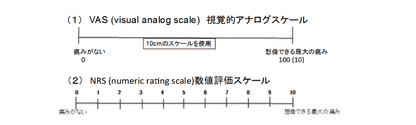 解説画像
